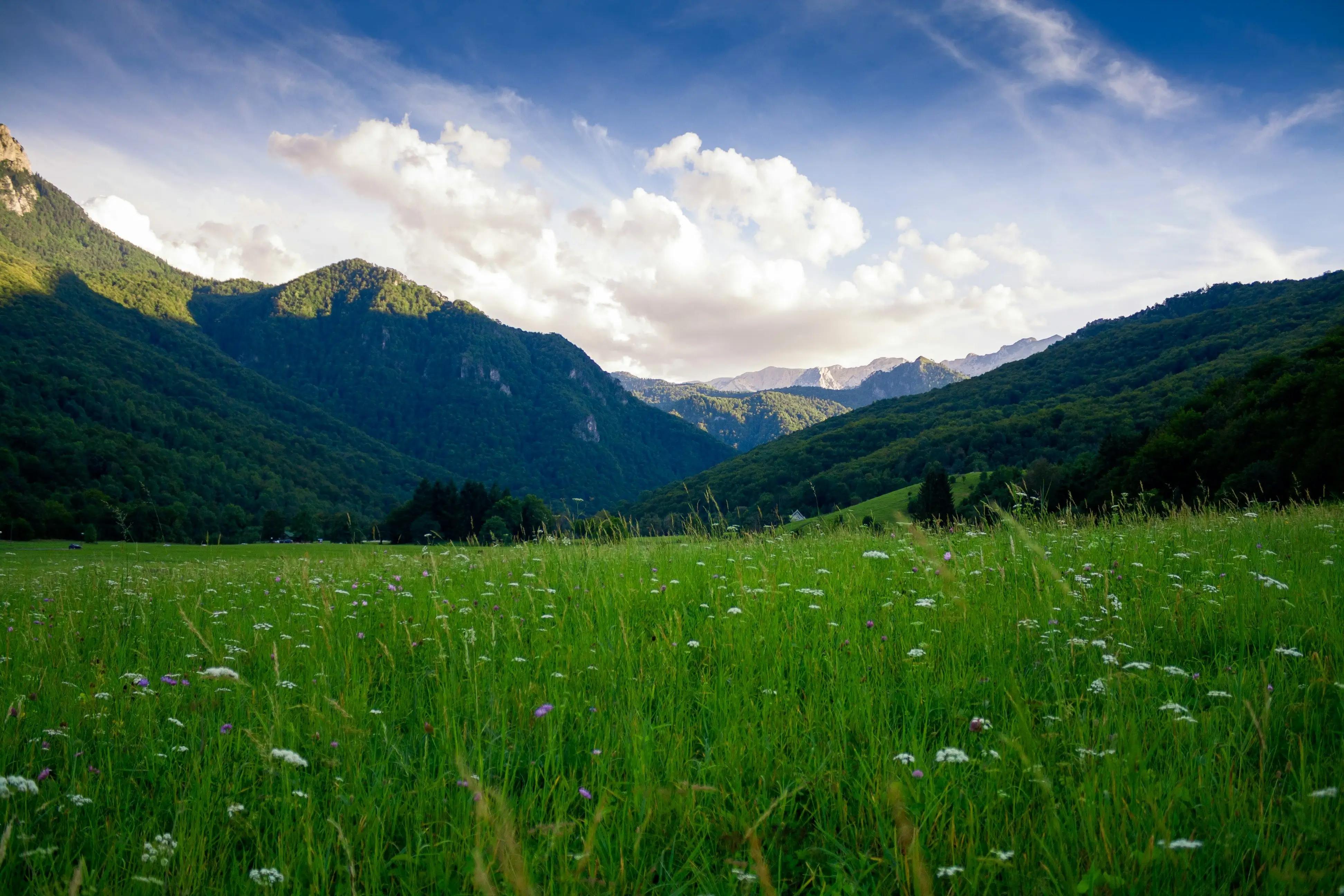 Grass plains with forests and mountains in the distance and a clear, blue sky above.